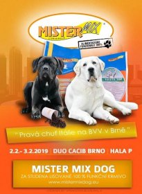 DUO CACIB BRNO 2.2. + 3.2. 2019 / BVV BRNO MEZINÁRODNÍ VÝSTAVA PSŮ - Mister Mix Dog