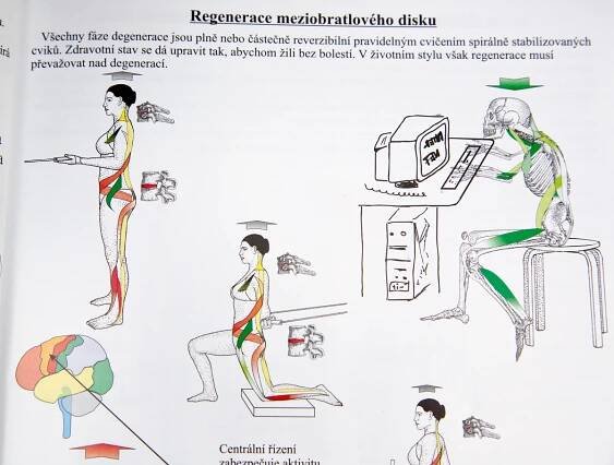 Blokáda žeber může bolet úplně jinde