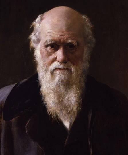 Usínal slavný přírodovědec Charles Darwin ve školní lavici?