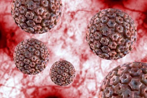 herpes simplex virus infekce 3d ilustrace - genital herpes - stock snímky, obrázky a fotky