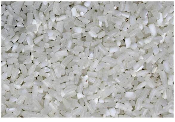 Faisal Industries (Pvt) Ltd » WHEAT