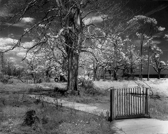 John Loengard – Photographs