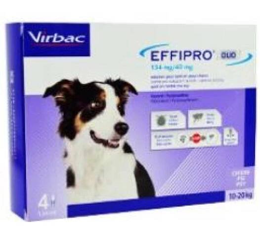 Effipro DUO Dog M (10-20kg) 134/40 mg, 4x1,34ml